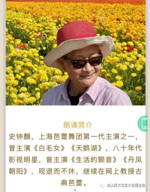 青草视频全集在线观看,一场视觉与心灵的盛宴