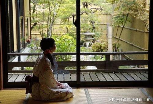 日本风俗案内所,传统与现代交融的画卷