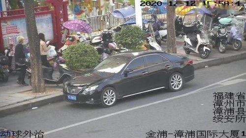 素人无码车牌,独特标识背后的故事