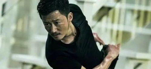 武打明星都有谁,盘点当代武打明星风采