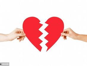 娱乐吃瓜酱婚姻法,揭秘娱乐圈婚姻真相与法律边界