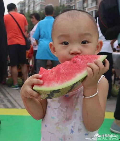 吃瓜大全合集,揭秘娱乐圈幕后故事与热点事件