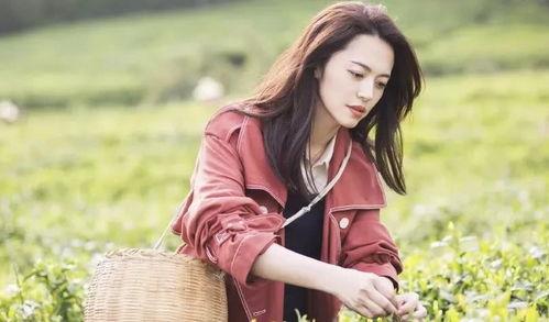 娱乐吃瓜女艺人喜欢显摆