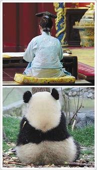 大大娱乐吃瓜,吃瓜群众眼中的娱乐圈风云