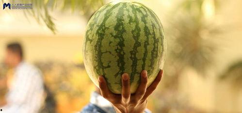 吃娱乐圈的瓜,揭秘明星幕后故事与情感纠葛