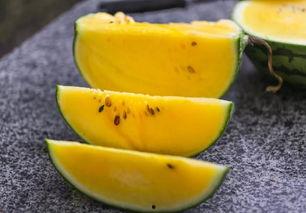 娱乐吃瓜酱杭州,揭秘网红城市背后的娱乐风云