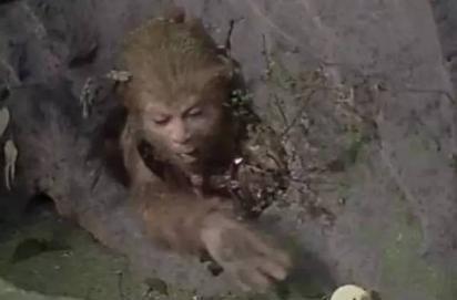 孙悟空吃瓜子戒烟视频,孙悟空的瓜子戒断之旅