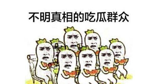 吃瓜群众小说,揭秘娱乐圈背后的秘密与真相